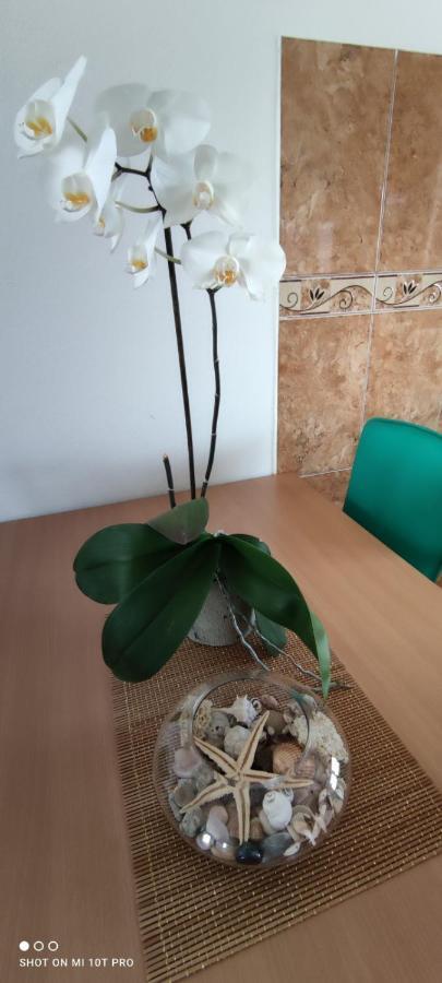 Apartments Tara Ούλτσιν Εξωτερικό φωτογραφία